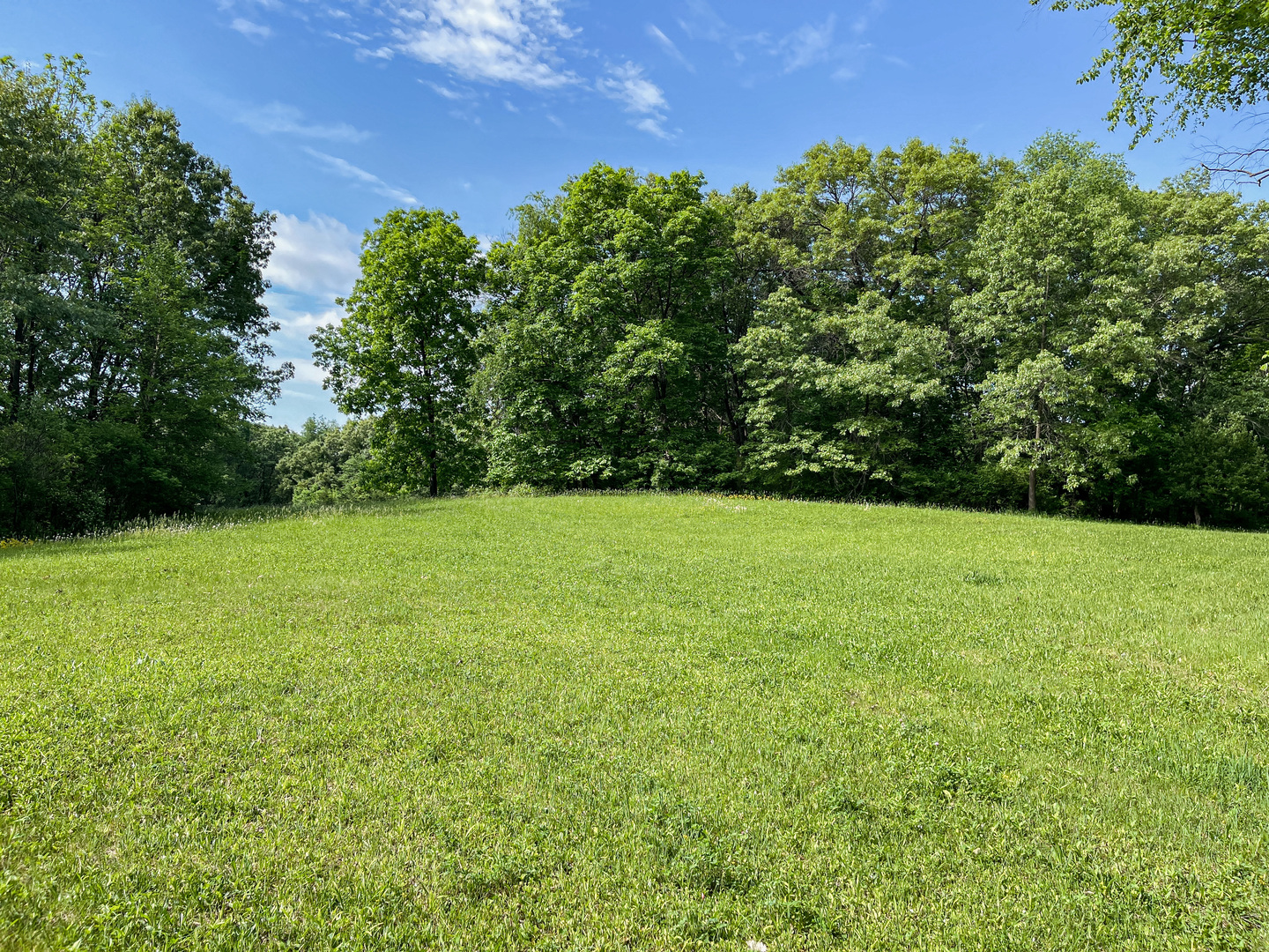 0 Three Mile Road Savanna, IL 61074 - Photo 17 of 32 a view of a green yard with a house