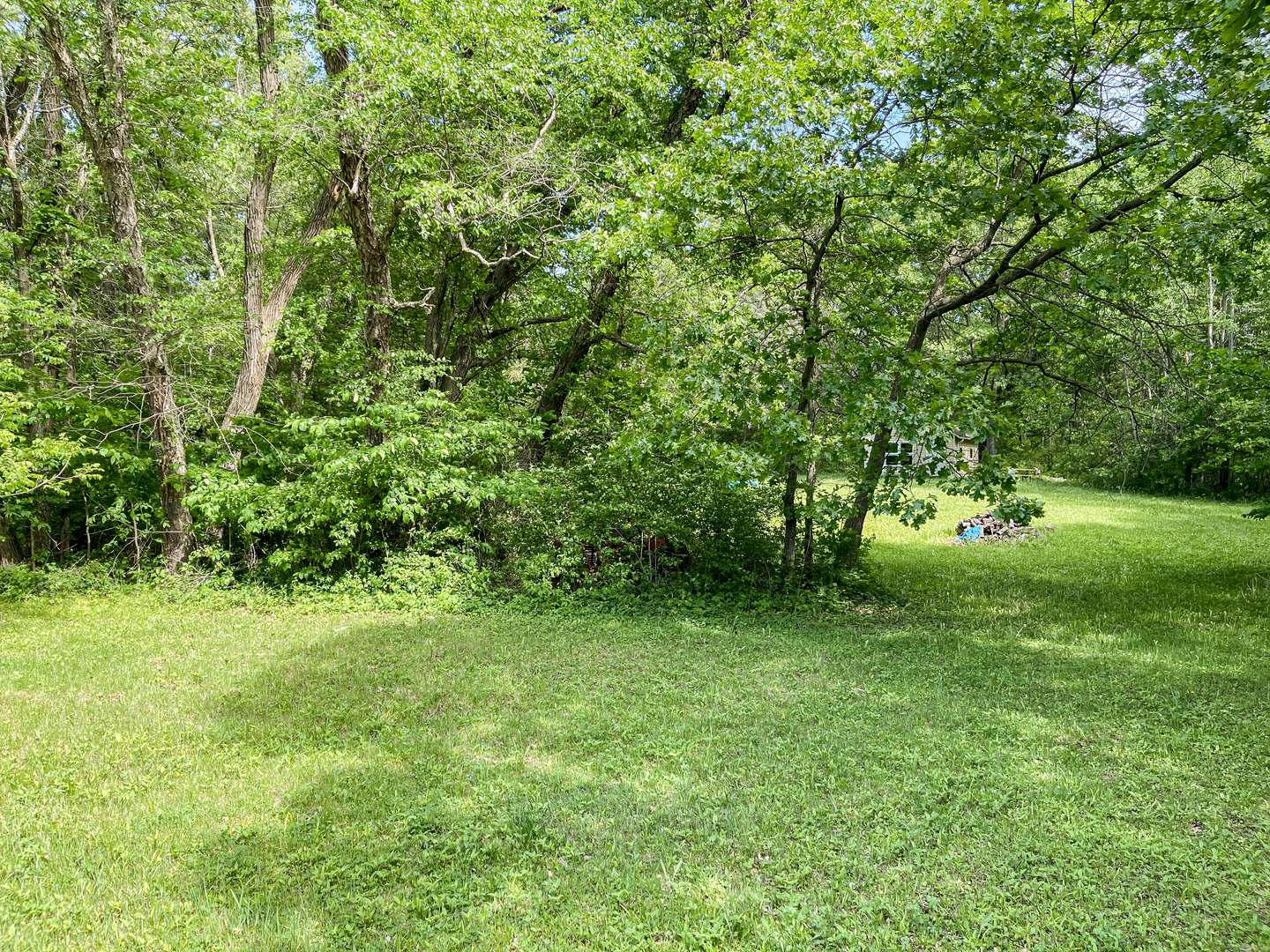 0 Three Mile Road Savanna, IL 61074 - Photo 18 of 32 a big yard with lots of green space and deers