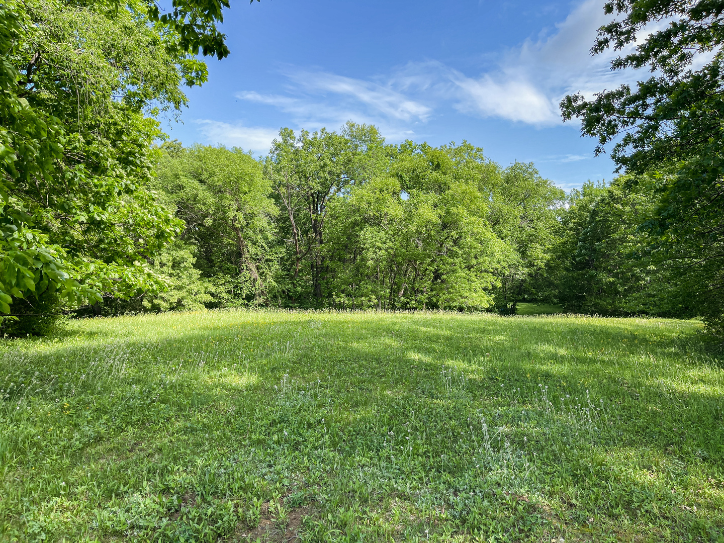 0 Three Mile Road Savanna, IL 61074 - Photo 19 of 32 a view of a lush green space