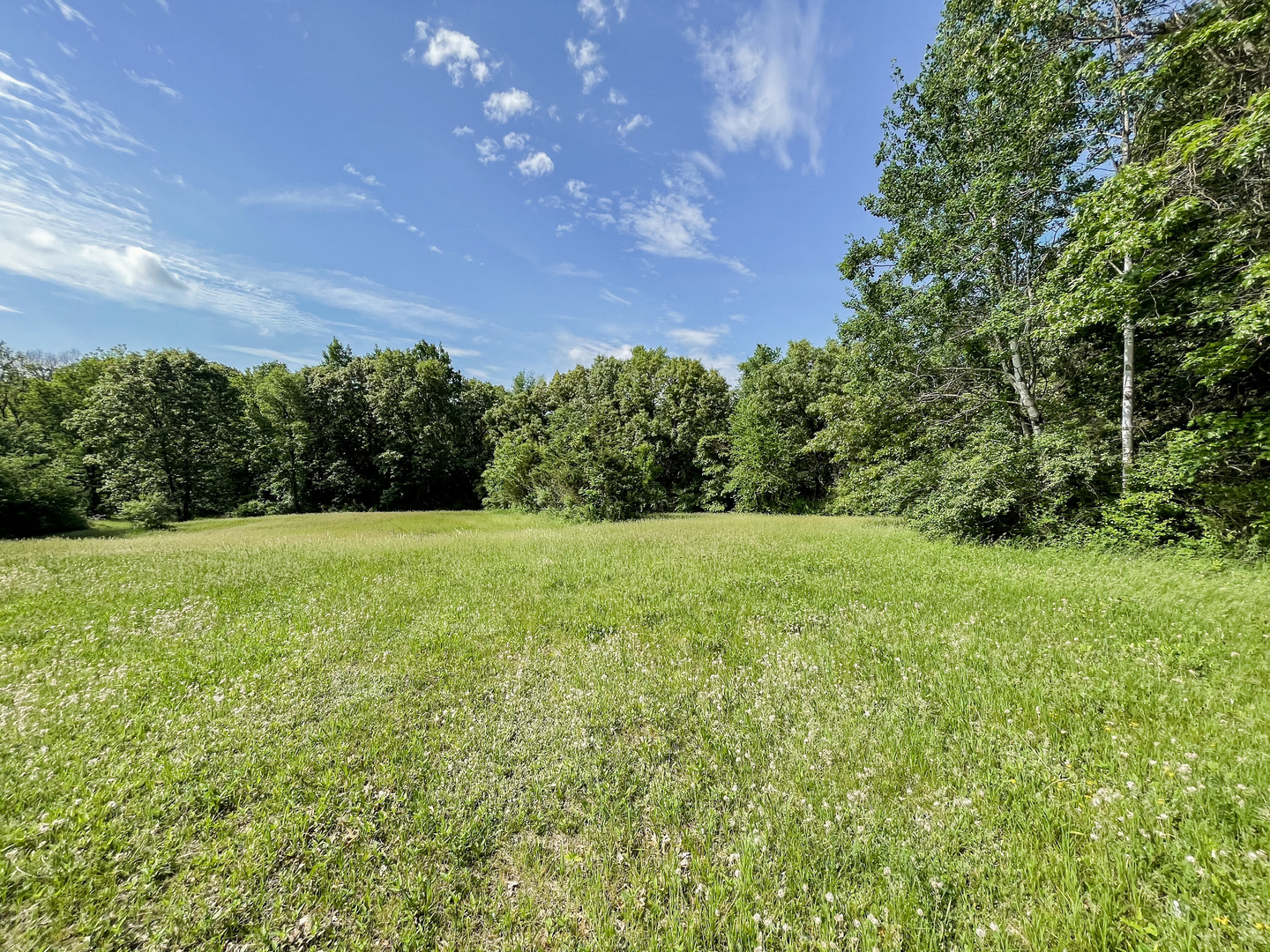 0 Three Mile Road Savanna, IL 61074 - Photo 21 of 32 a view of a field with a tree in the background