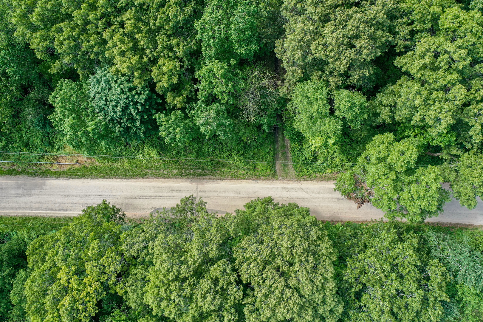 0 Three Mile Road Savanna, IL 61074 - Photo 22 of 32 a view of yard with green space