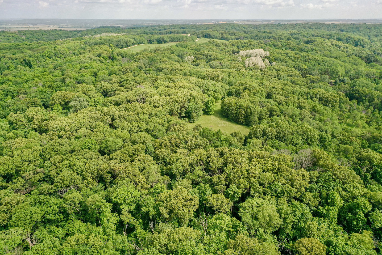 0 Three Mile Road Savanna, IL 61074 - Photo 29 of 32 a view of a green field with lots of bushes