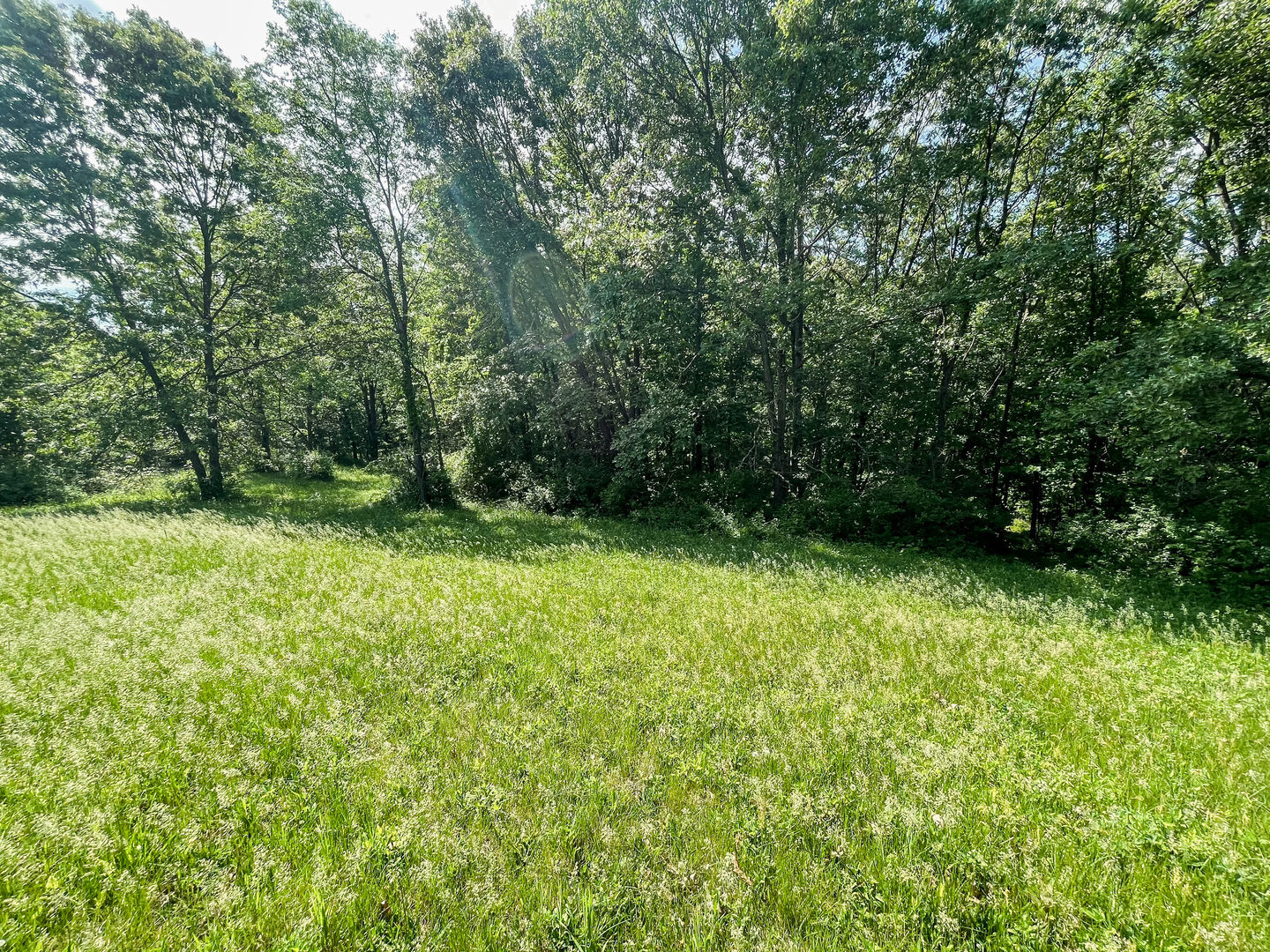 0 Three Mile Road Savanna, IL 61074 - Photo 30 of 32 a view of outdoor space and yard