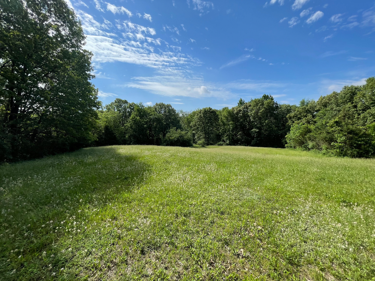 0 Three Mile Road Savanna, IL 61074 - Photo 5 of 32 a view of a grassy field with trees in the background