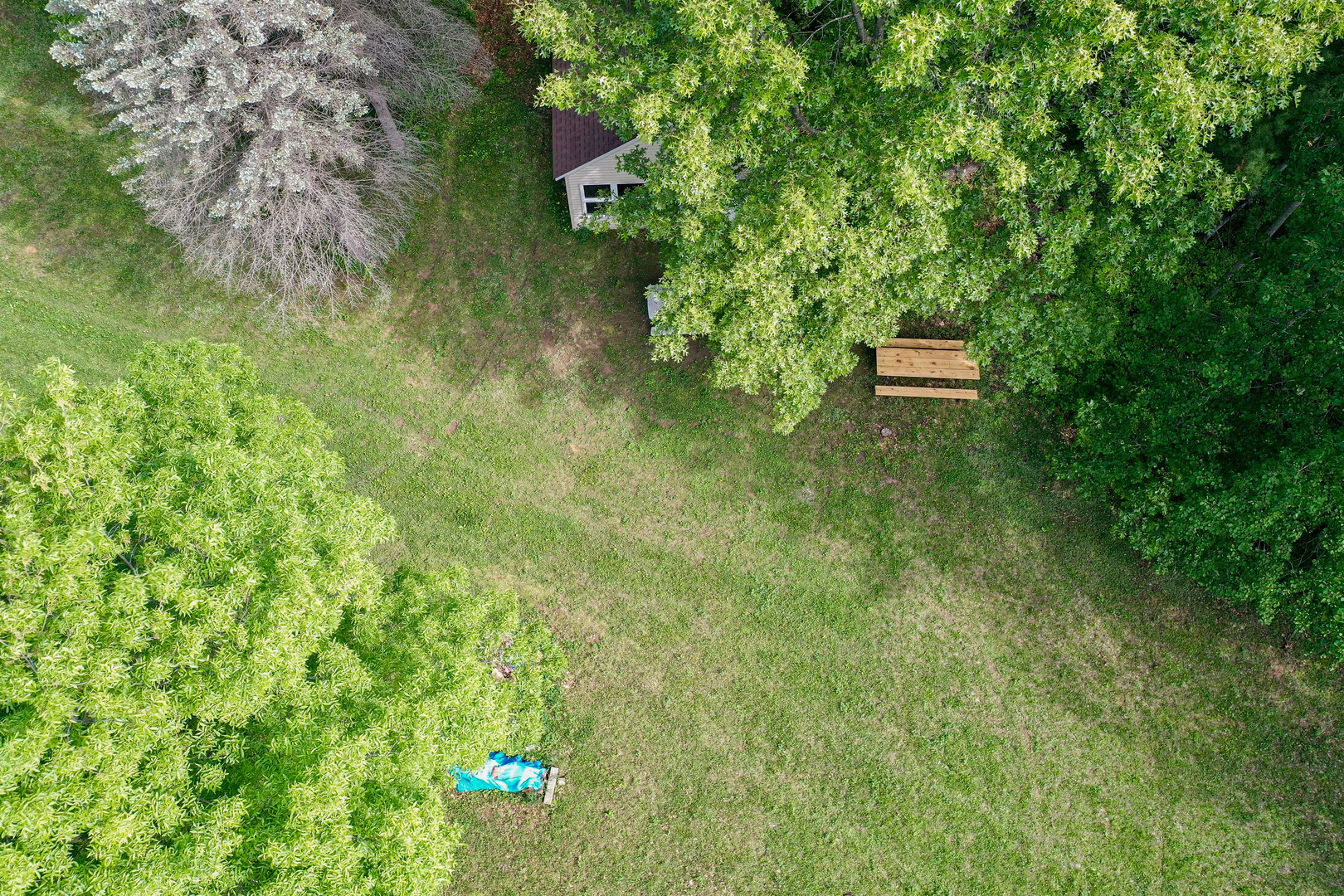 0 Three Mile Road Savanna, IL 61074 - Photo 8 of 32 a view of outdoor space and yard