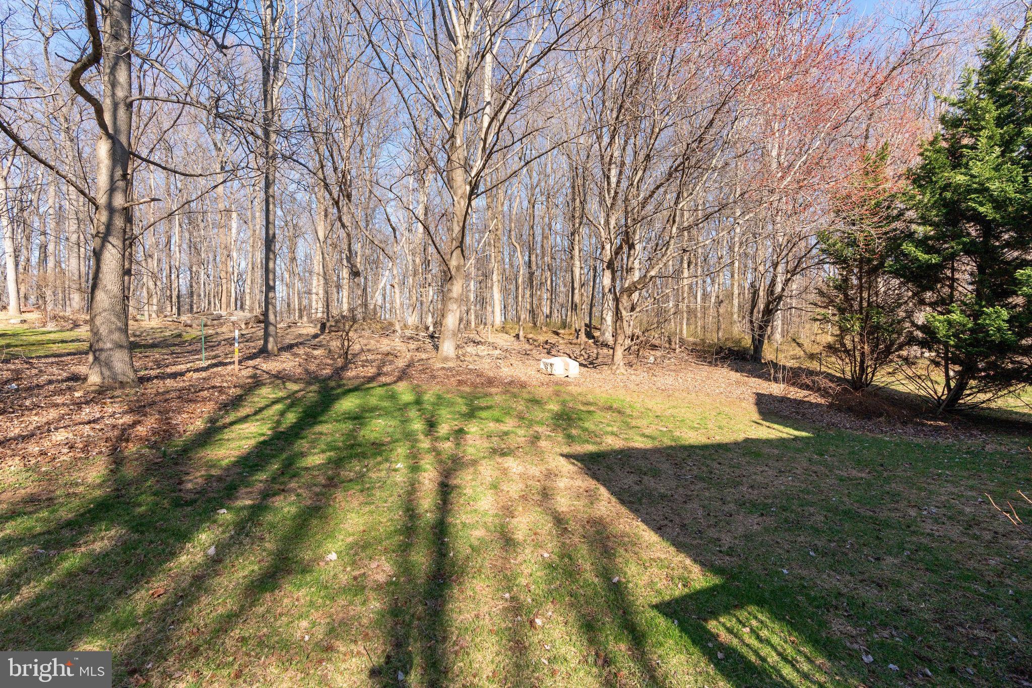 12298 Wake Forest Road Clarksville, MD 21029 - Photo 46 of 46 a view of yard with trees