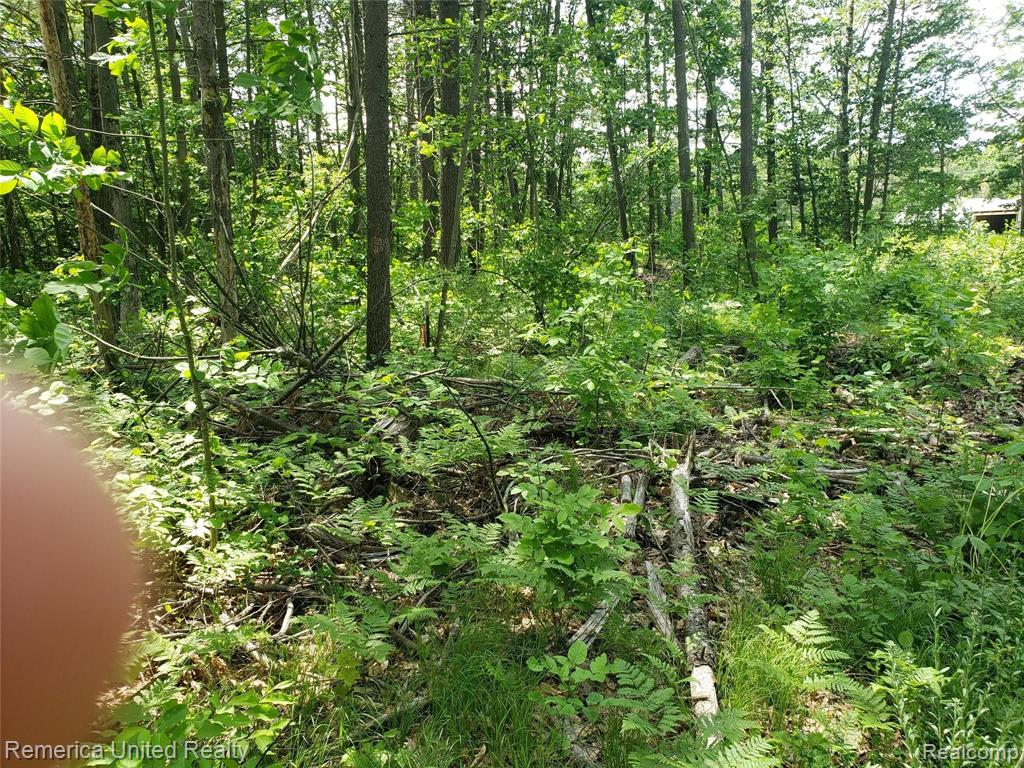 2469 East Spruce Road Spruce, MI 48762 - Photo 48 of 48