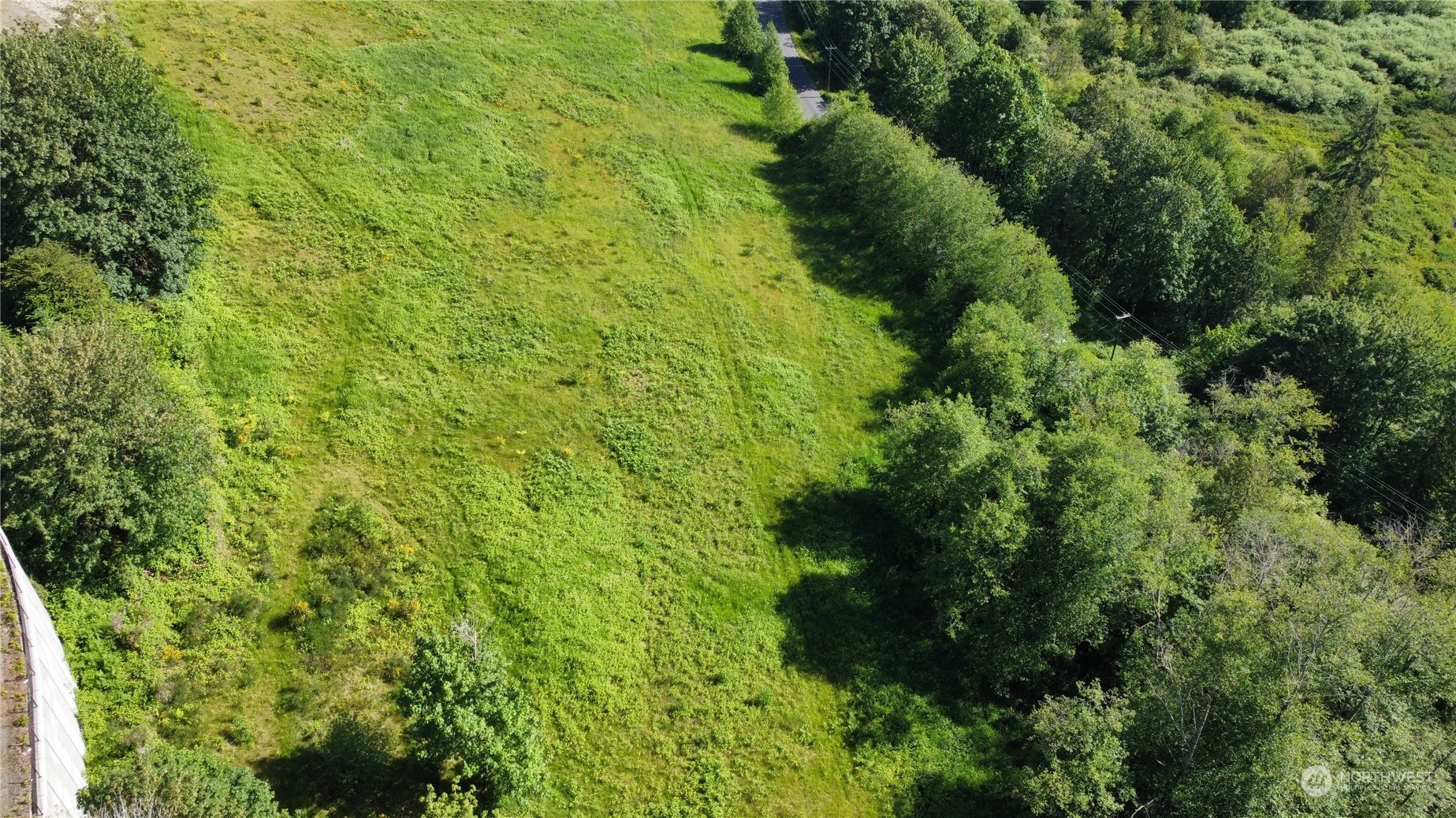 4329 Fobes Road Snohomish, WA 98290 - Photo 3 of 15 a plant with lots of trees