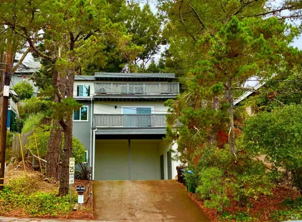 front view of a house with a tree