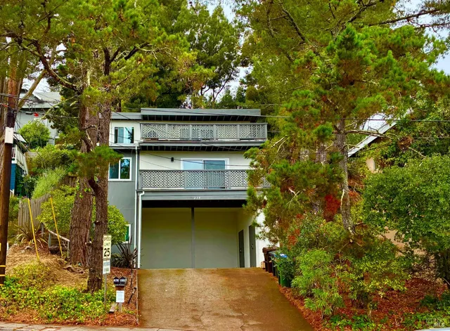 front view of a house with a tree