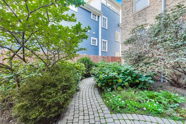 a view of a pathway both side of house