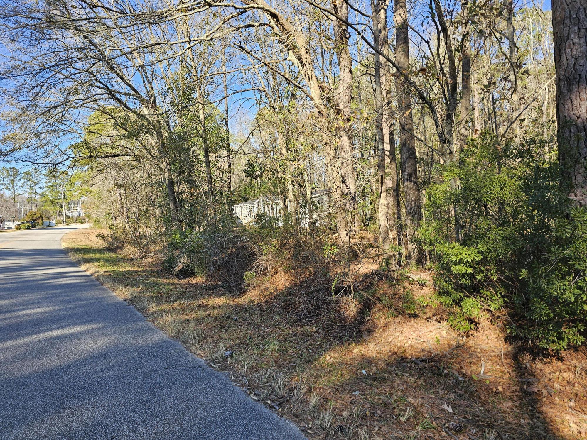 0 Haynesville Road Moncks Corner, SC 29461 - Photo 1 of 8 Haynesville Rd Ext