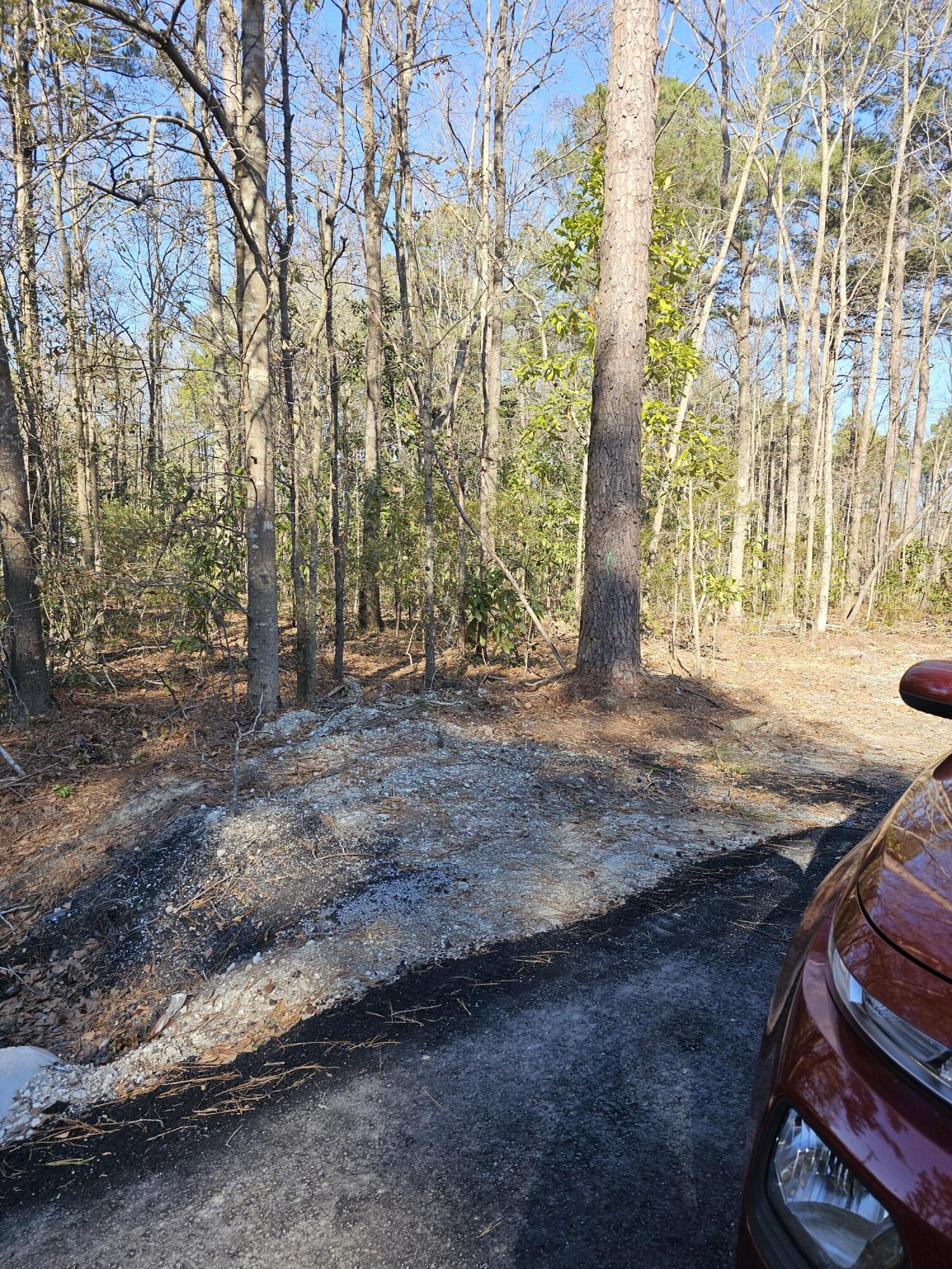 0 Haynesville Road Moncks Corner, SC 29461 - Photo 5 of 8 1000000894