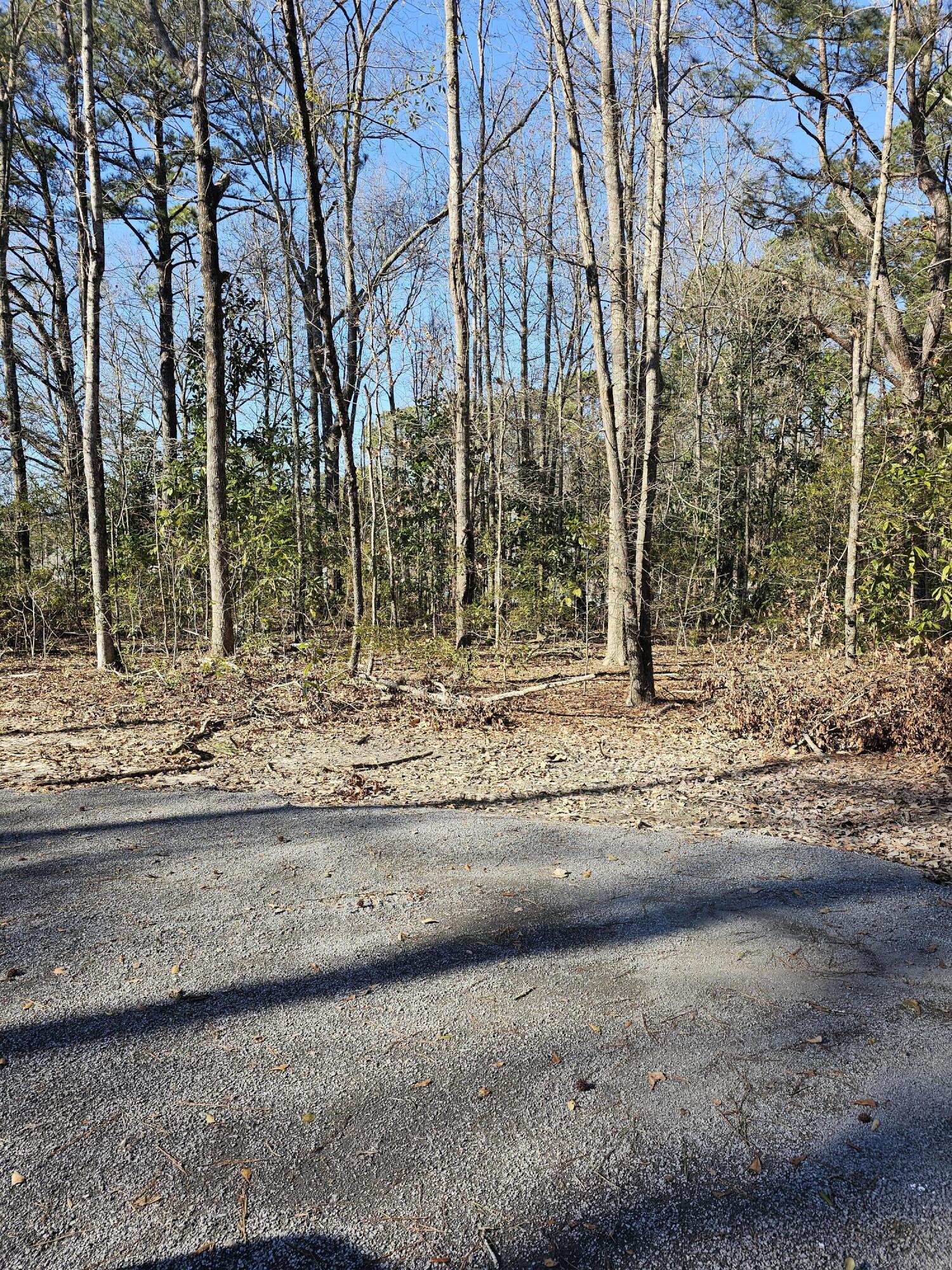 0 Haynesville Road Moncks Corner, SC 29461 - Photo 6 of 8 1000000892