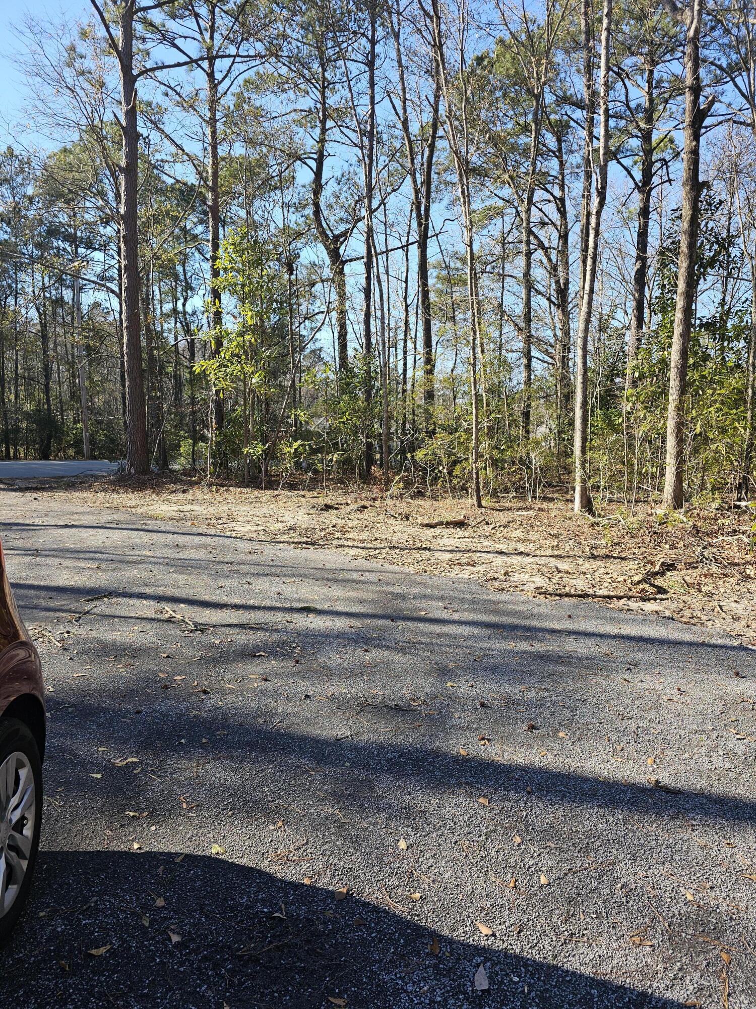 0 Haynesville Road Moncks Corner, SC 29461 - Photo 7 of 8 1000000893