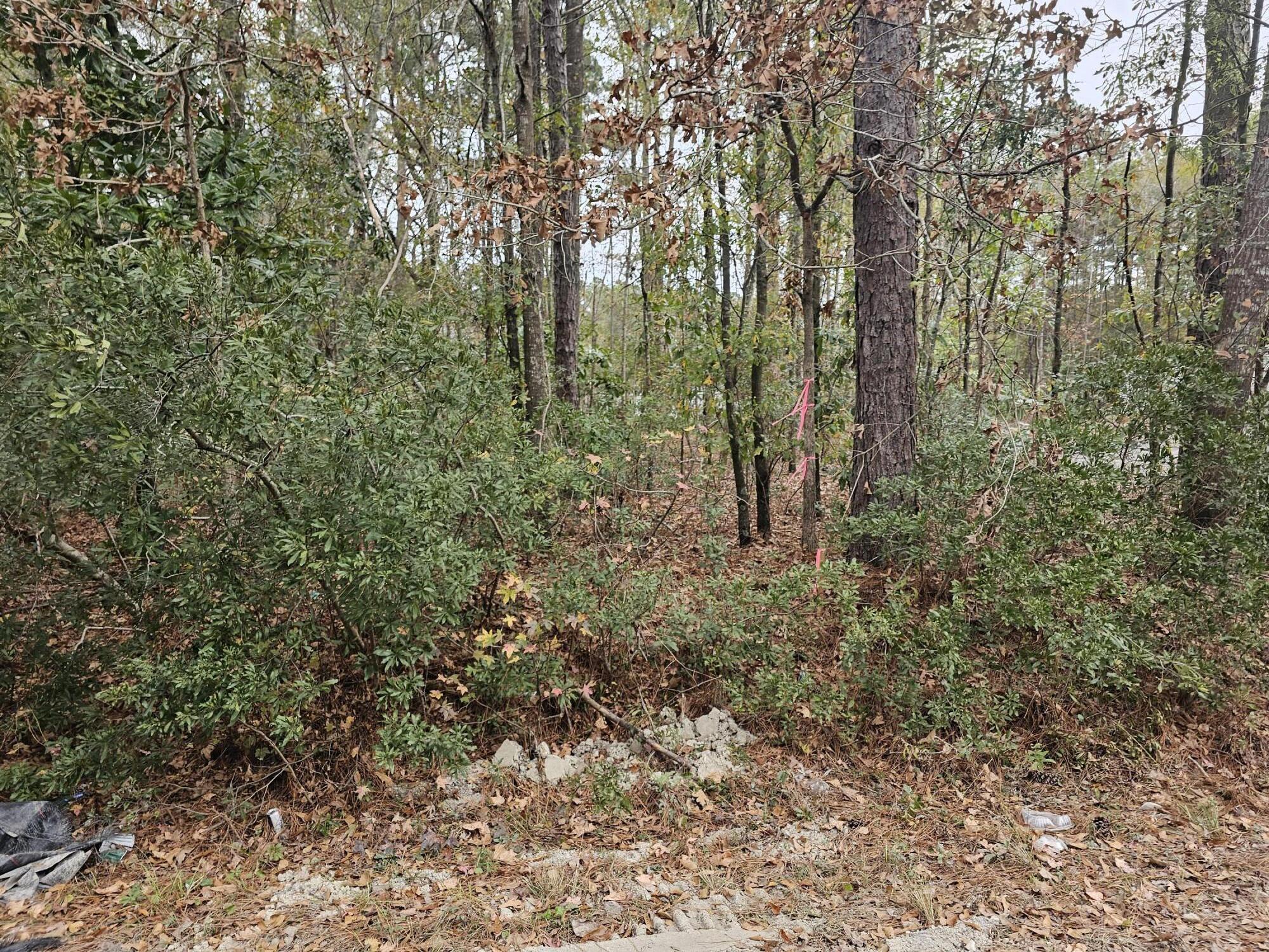 0 Haynesville Road Moncks Corner, SC 29461 - Photo 8 of 8 Haynesville Rd