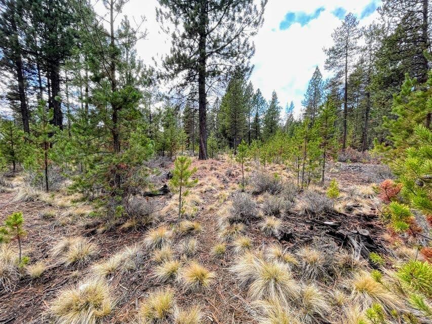 56031 Savage Road Bend, OR 97707 - Photo 9 of 10 12735