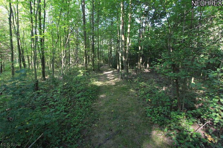 16290 Hallauer Road Oberlin, OH 44074 - Photo 23 of 25 Gallery Image 23
