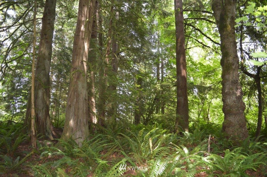 25701 Van Brocklin Road Monroe, WA 98272 - Photo 14 of 15