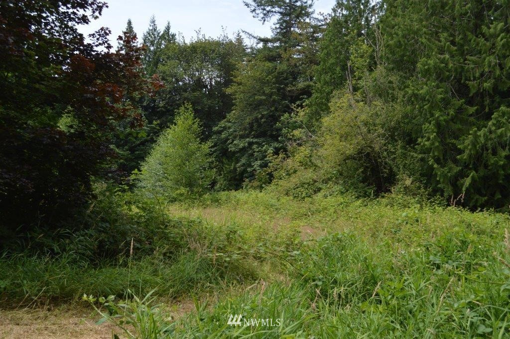 25701 Van Brocklin Road Monroe, WA 98272 - Photo 6 of 15