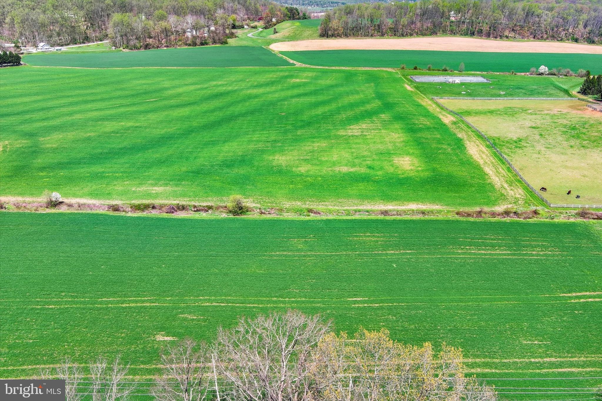 5451 Glen Arm Road Glen Arm, MD 21057 - Photo 41 of 47
