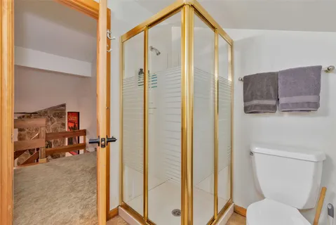 a bathroom with a toilet a sink and a shower