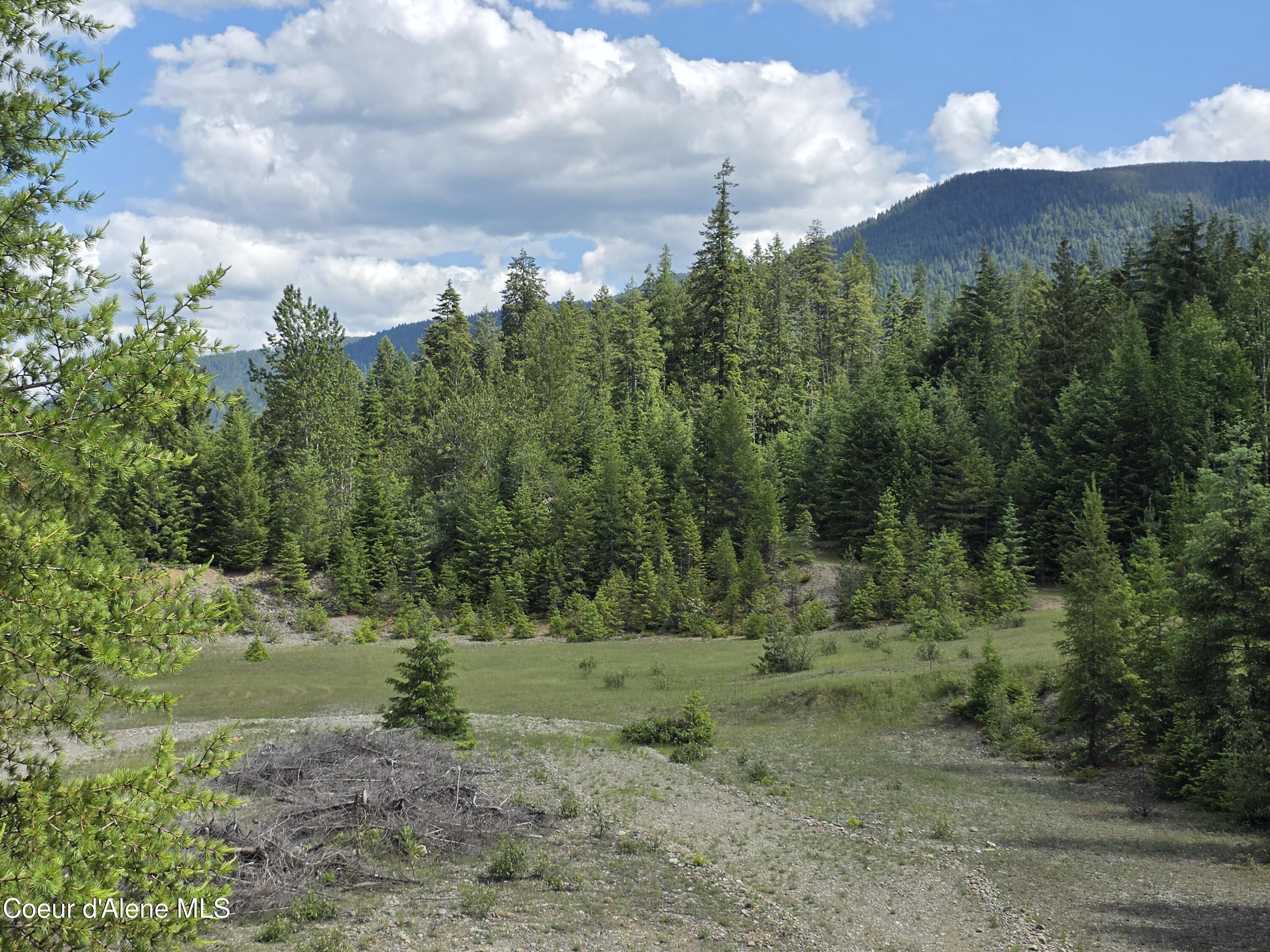 5784 River Road Clark Fork, ID 83811 - Photo 4 of 38 20260604_144117