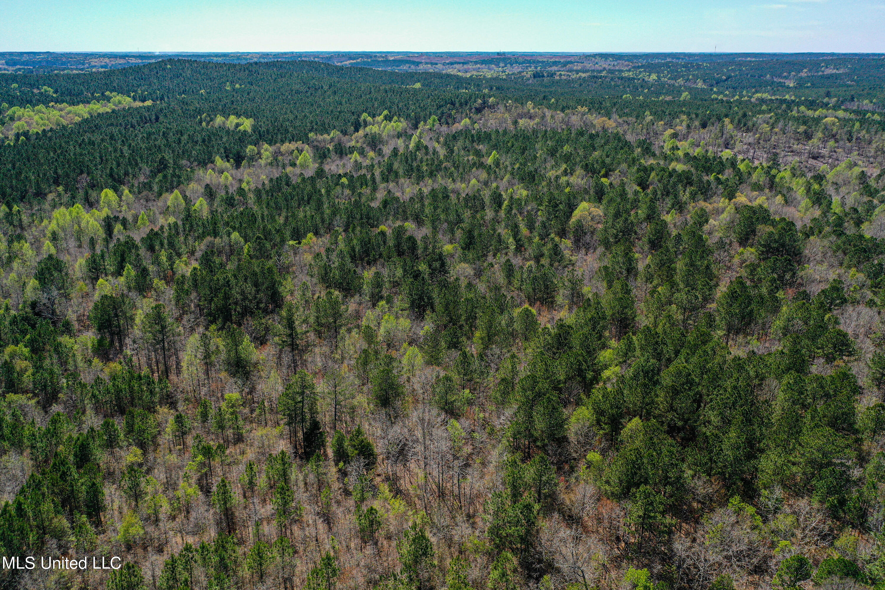 Plattsburg-mt Calvary Road Noxapater, MS 39346 - Photo 3 of 9 DJI_0646