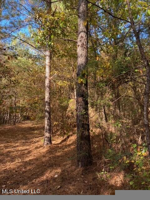 Plattsburg-mt Calvary Road Noxapater, MS 39346 - Photo 8 of 9 image7