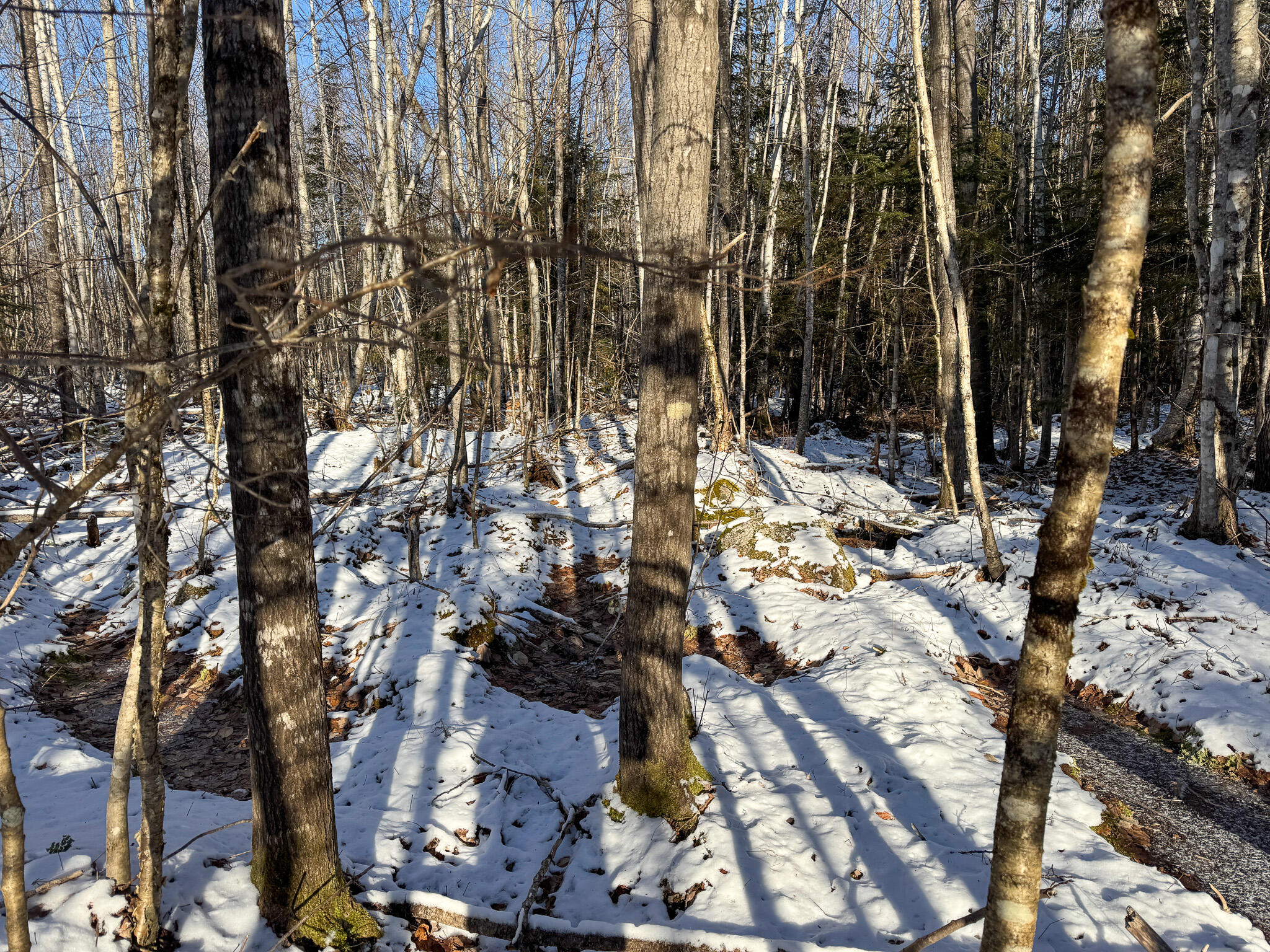 Lot 15 Upper Dobsis Road Lakeville, ME 04487 - Photo 10 of 35 10
