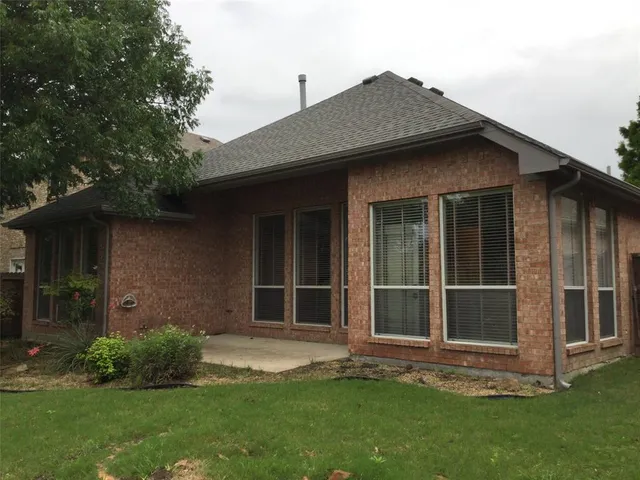a view of a yard with plants and large trees
