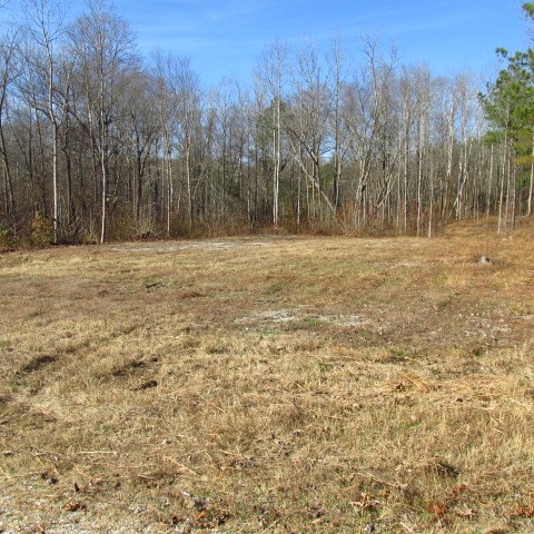 2374 Hohammer Road Holladay, TN 38341 - Photo 7 of 17 Gallery Image 7