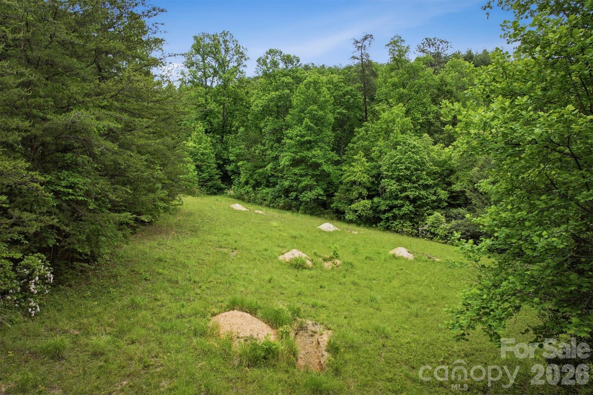 1350 Lavender Road Old Fort, NC 28762 - Photo 12 of 13