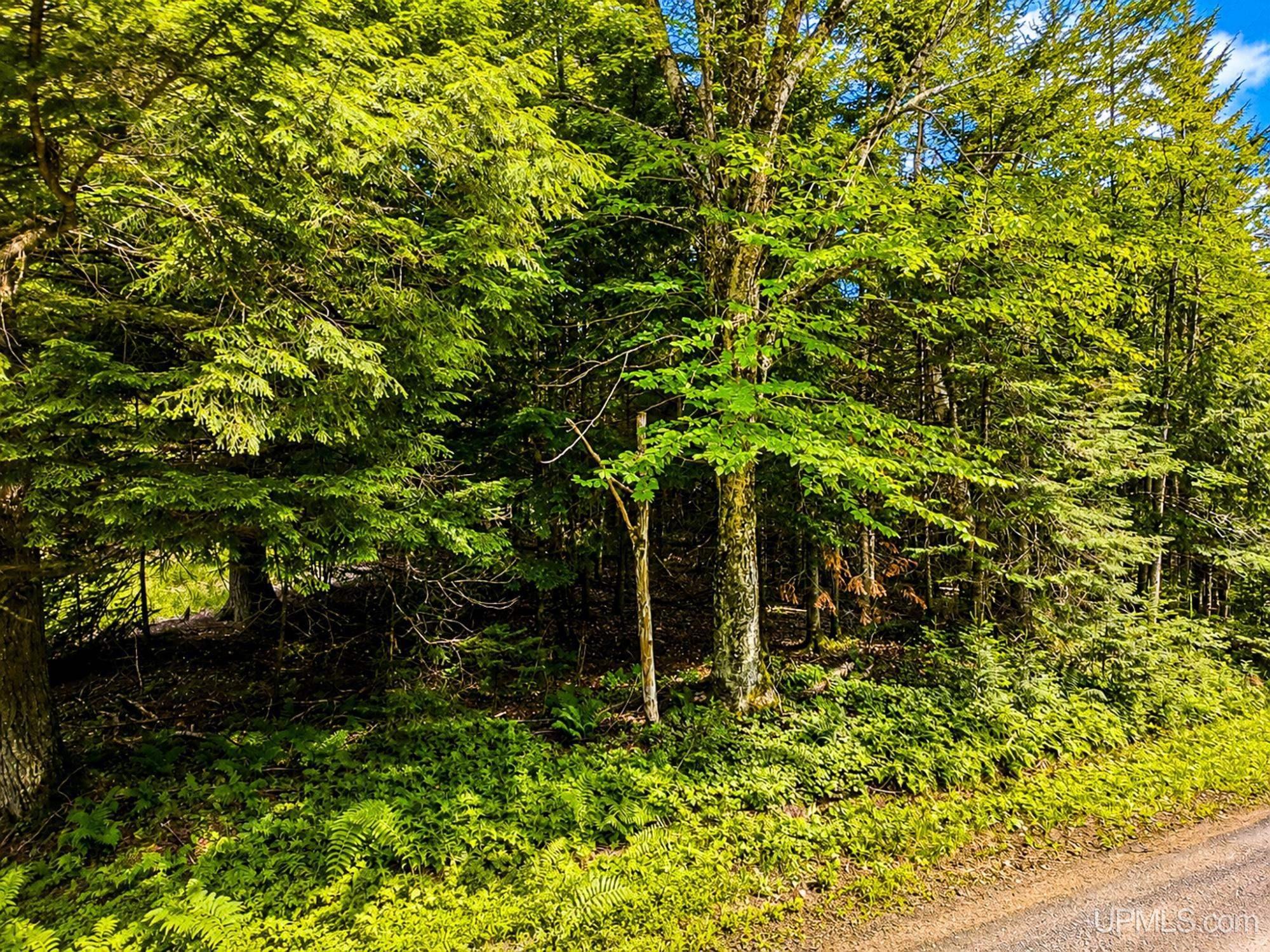 Lot 4 State Line Lake Road East Marenisco, MI 49947 - Photo 8 of 16