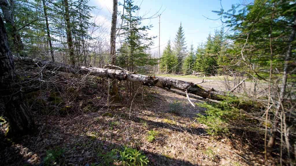 Lot 23 Mill Road East Orient, ME 04471 - Photo 24 of 28 land-me-cary-williams-8