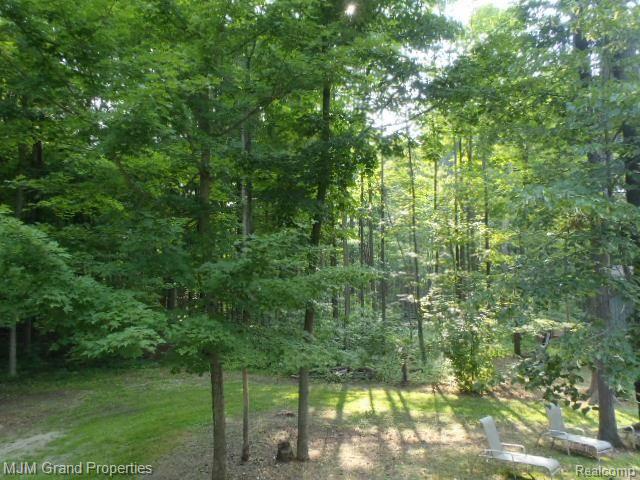 9488 McKean Road Willis, MI 48191 - Photo 15 of 17 View From Rear Deck