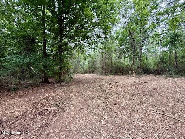 Mt Herman Road Osyka, MS 39657 - Photo 1 of 53 IMG_5390