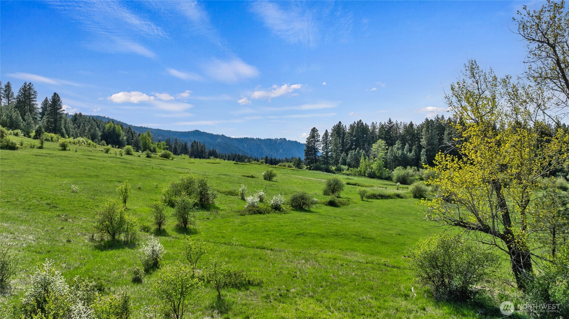 66-x3 Upper Peoh Point Road Cle Elum, WA 98922 - Photo 10 of 32 a view of a big yard with large trees