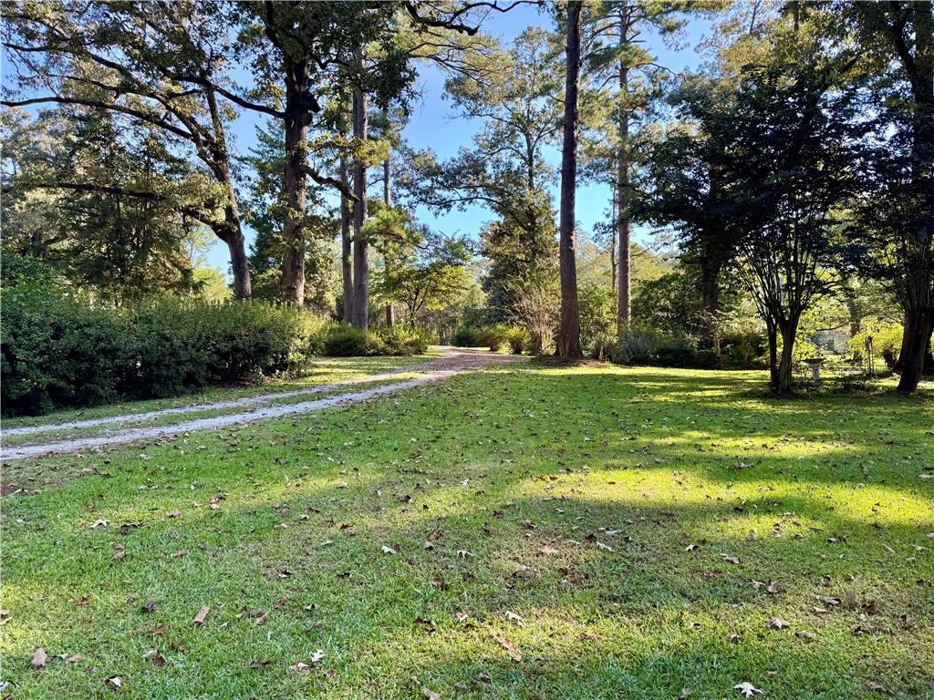 130 Holt Road Pollock, LA 71467 - Photo 3 of 60