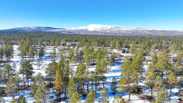a view of a city with mountains in the background