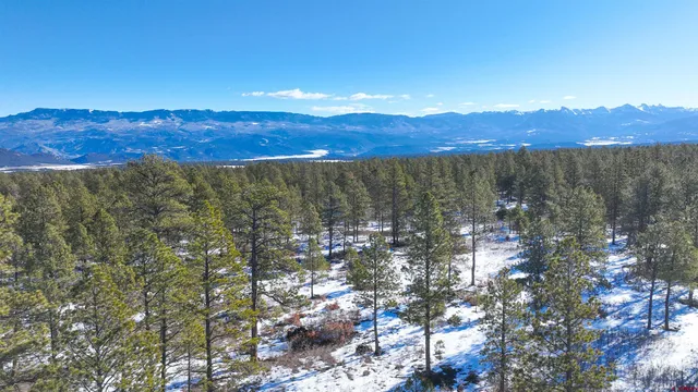 a view of a city with a tree in the background