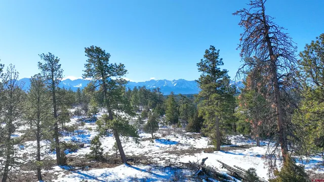 a view of a city with a tree in the background