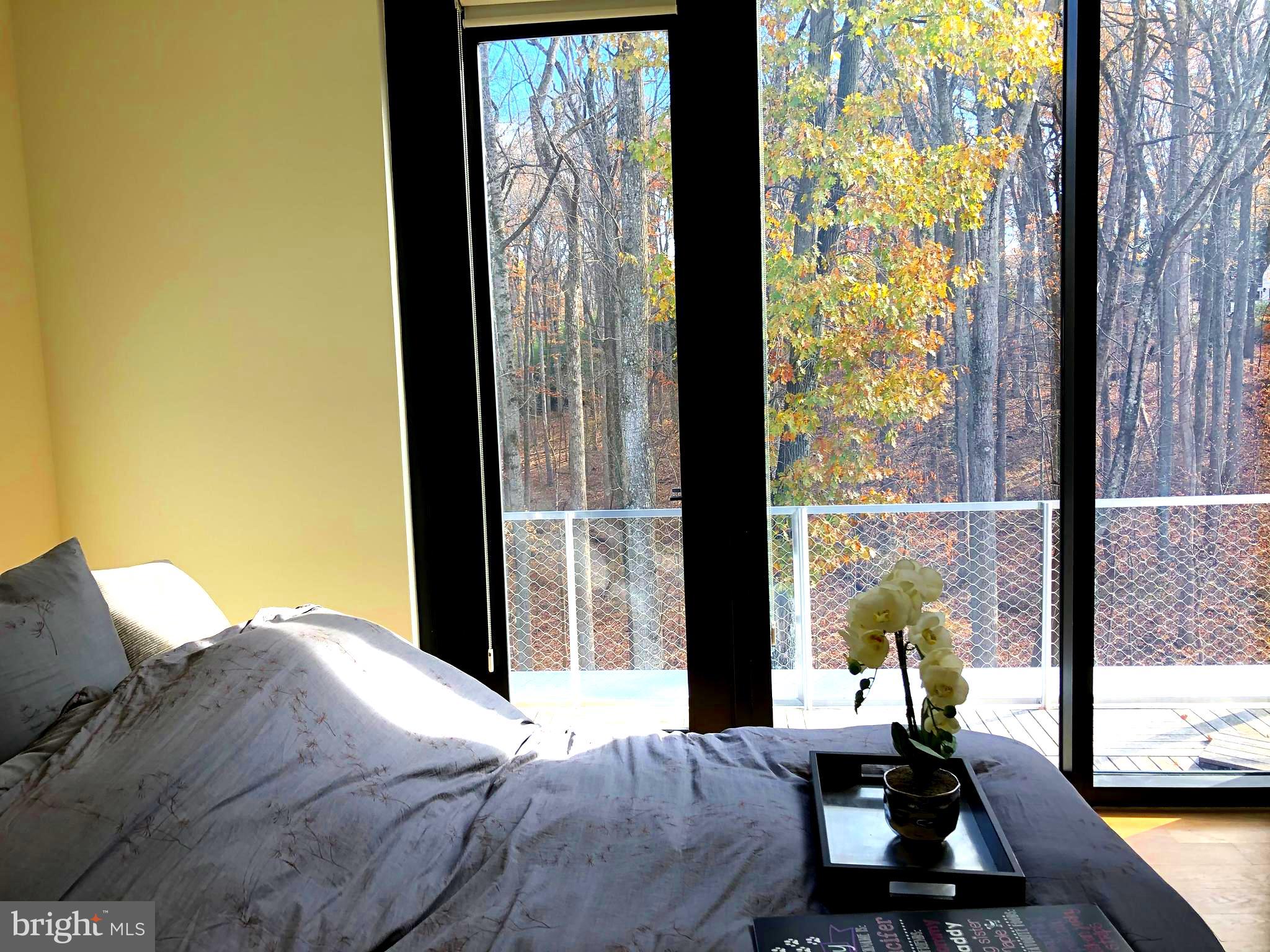 8725 Brook Road McLean, VA 22102 - Photo 14 of 23 Master Bedroom