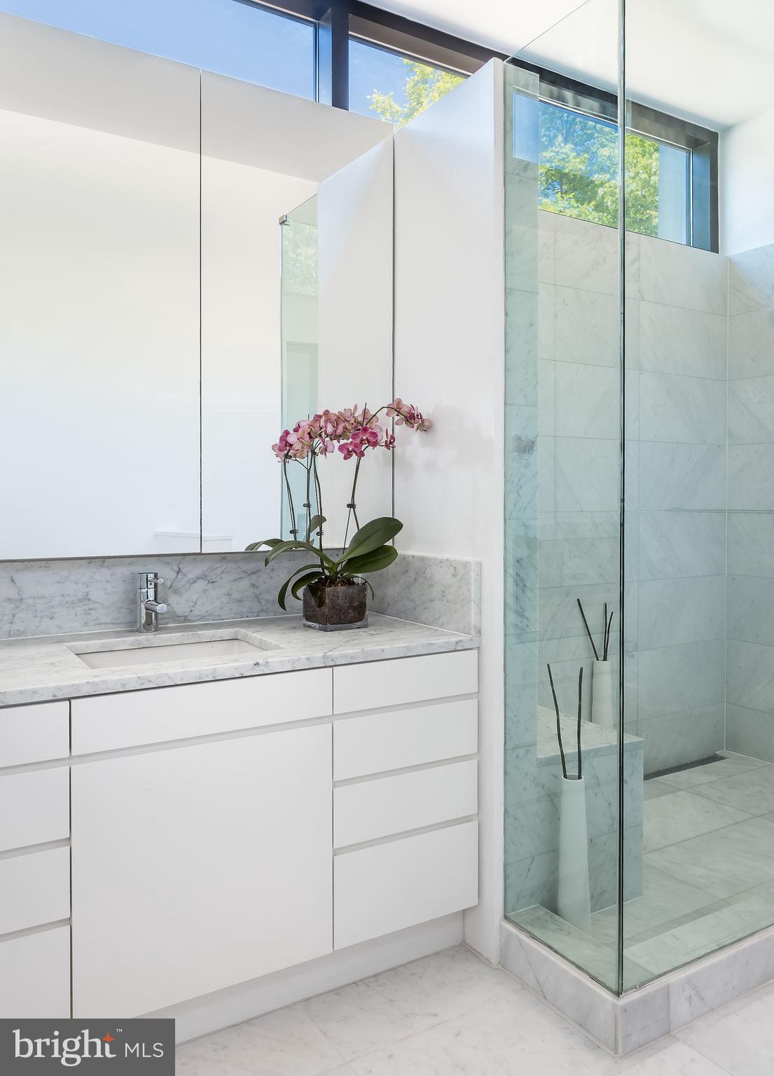 8725 Brook Road McLean, VA 22102 - Photo 16 of 23 Master Bathroom