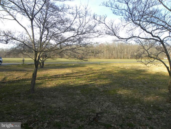 220 Merrick Corner Road Church Hill, MD 21623 - Photo 3 of 11 View