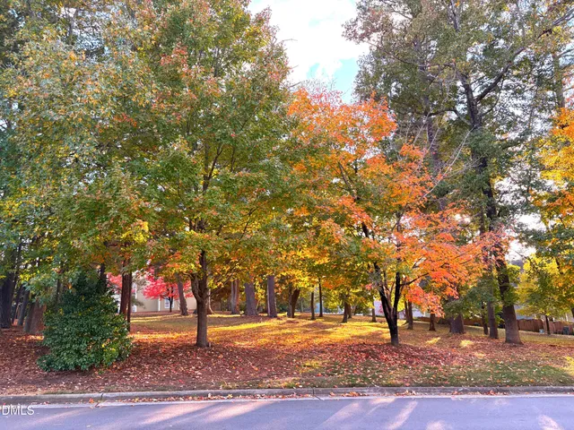 a tree in the middle of a yard