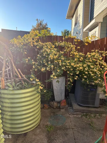 a view of a tree in a garden
