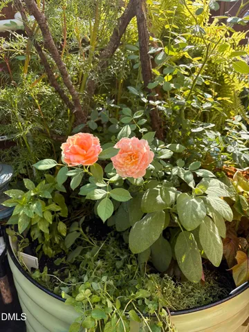 $339,900 | 1131 Bungalow Park Drive, Apex, NC 27502