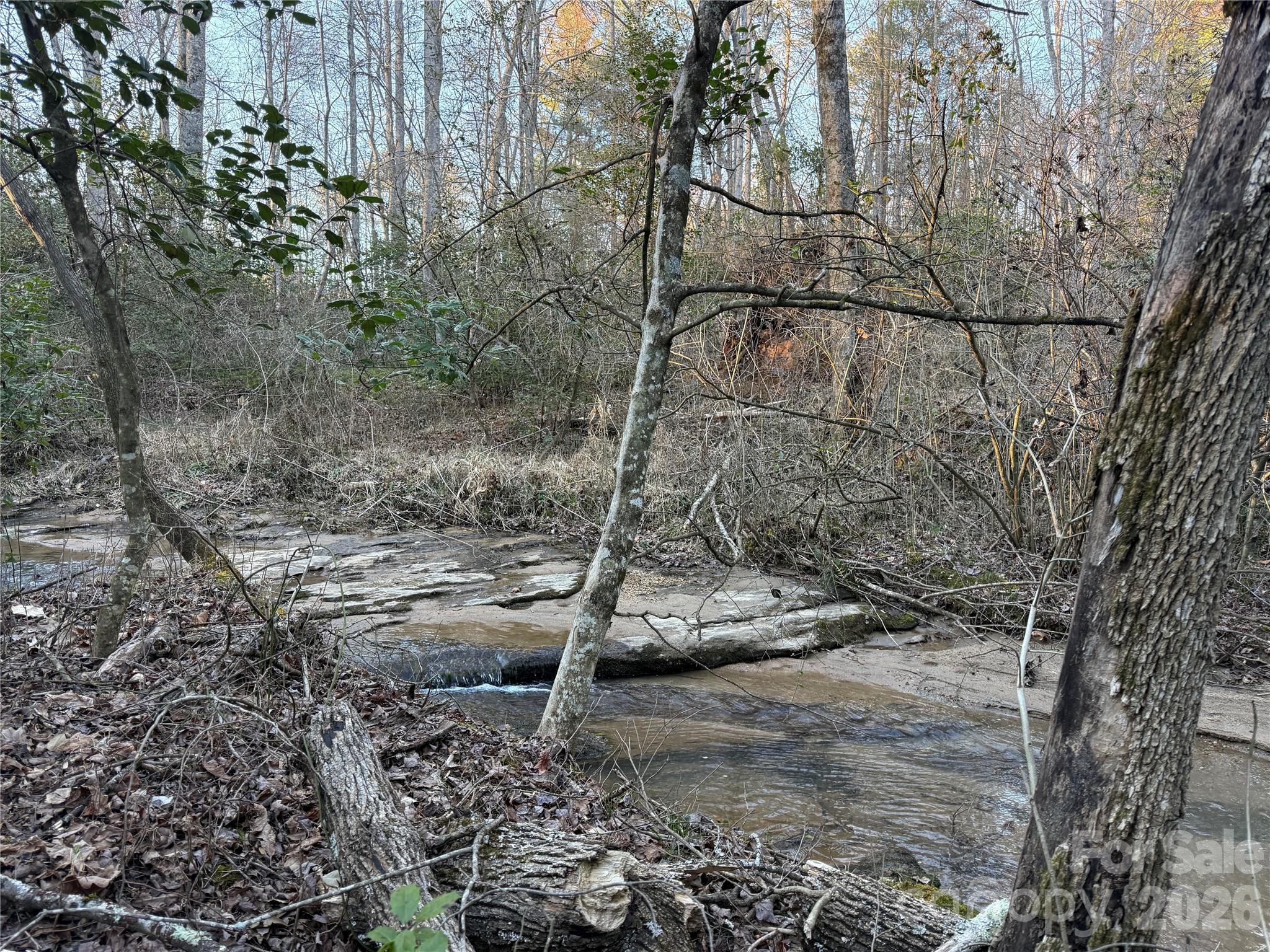 0 Pilgrim Church Road Hiddenite, NC 28636 - Photo 20 of 21 a picture of trees