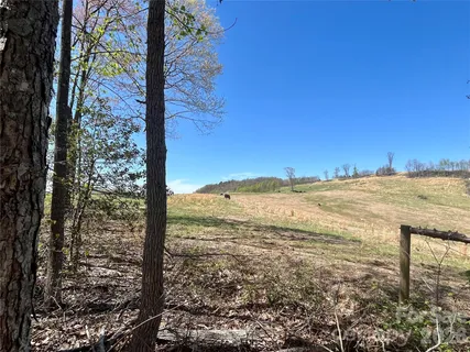 a view of covered with trees